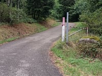 Molkenrain