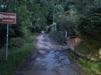 Mollia d'Arrigo depuis Carola