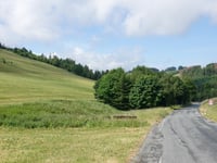 Mollseifen da Zwistmühle
