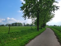 Peuschkensheiderweg von Molsberg