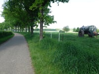 Peuschkensheiderweg von Molsberg