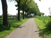 Peuschkensheiderweg von Molsberg