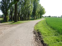 Peuschkensheiderweg von Molsberg