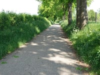 Bouwerweg via Molsberg