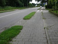 Moltweg