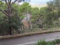 Puig de Sant Salvador from Felanitx