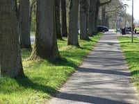 Weg achter het Bos par Monnikenhuizen