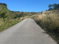 Møns Klint Bakken por Hampelandsvej