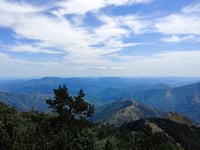 Mont Aigoual von Le Vigan über Col de la Lusette