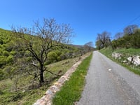Mont Aigoual von Saint André de Valborgne