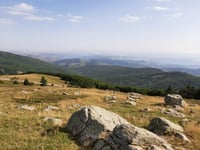 Mont Aigoual desde Trèves