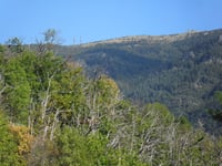 Mont Aigoual from Valleraugue