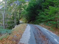 Mont Aigual von Molières-Cavaillac über Salagosse
