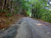 Mont Aigual von Molières-Cavaillac über Salagosse
