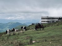 Mont Artzamendi von Laxia