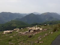 Mont Artzamendi from Laxia