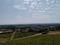 Mont Brouilly from Saint Lager