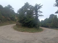 Mont Caro von Tortosa