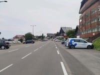 Mont Chalon / Thollon les Mémises vanuit Lac Léman