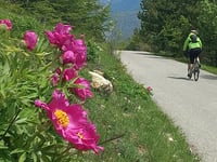 Mont Chalvet from Saint-André-les-Alpes