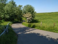 Mont Colembert von Moulin de Grisendal