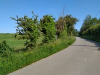 Mont Colembert von Moulin de Grisendal