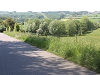 Mont Colembert von Moulin de Grisendal
