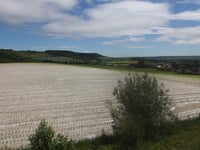 Mont de Cahen von Licques