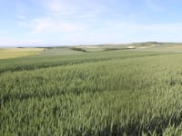 Mont de Couple via Hervelinghen