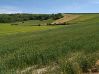 Mont de Couple via Hervelinghen