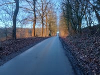 Mont de Houx