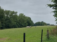 Mont de Mainvault przez Chemin du Haut Mont