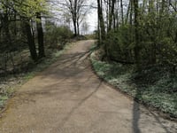 Mont Gaia