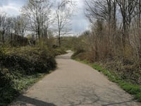 Mont Gaia