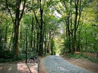Kemmelberg