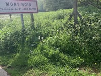 Mont Noir da Saint-Jans-Cappel