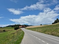 Mont Pelerin from Cardonne