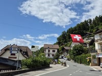 Mont Pelerin from Cardonne