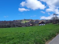 Mont Pelerin desde Cardonne