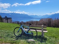 Mont Pelerin from Cardonne