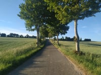 Mont Rôti von Preures
