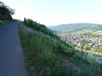 Mont Royal von Kröv
