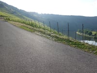 Mont Royal von Kröv
