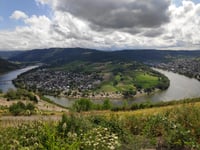 Mont Royal von Kröv