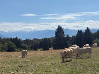 Mont Salève / Col des Pitons von Annemasse über Monnetier
