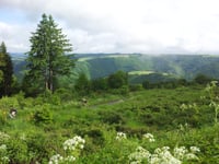 Mont St. Nicholas von Vianden