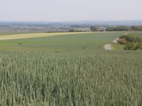 Mont Vasseur da Les Moulins
