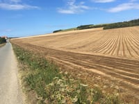Mont Vasseur über Peuplingues
