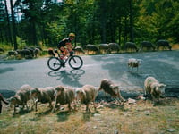 Mont Ventoux