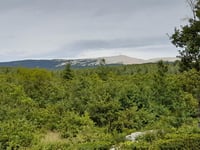 Mont Ventoux